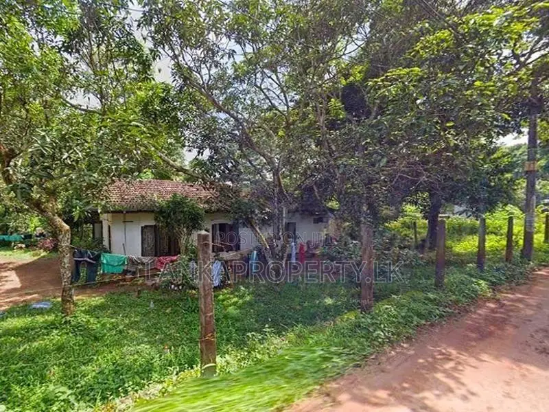 House with 35 Perches Land for Sale in Orutota, Gampaha.