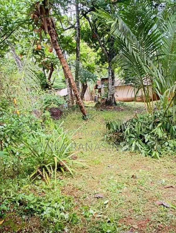 පර්.60ක බිම් කොටසක් විකිනීමට - බෙම්මුල්ල