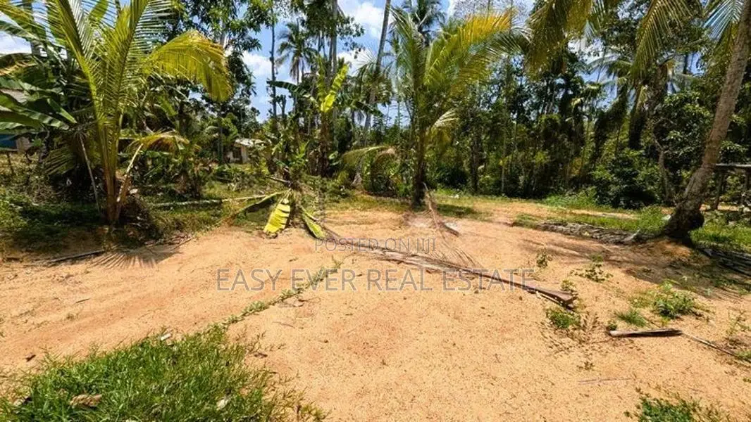 යක්කල නෙල්ලිගහමුලින් වටිනා ඉඩමක් / UP 12441