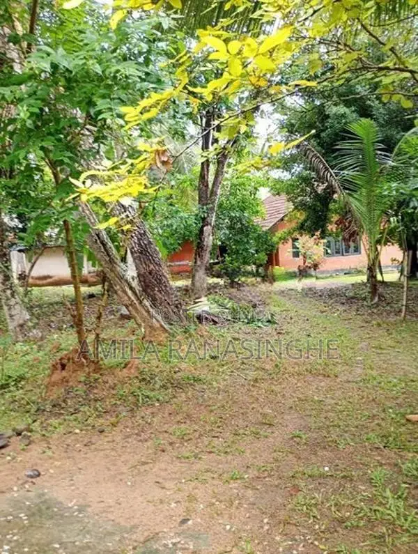 පර්.60ක බිම් කොටසක් විකිනීමට - බෙම්මුල්ල