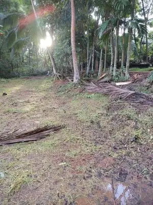 Land in Imbulgoda Plot 01