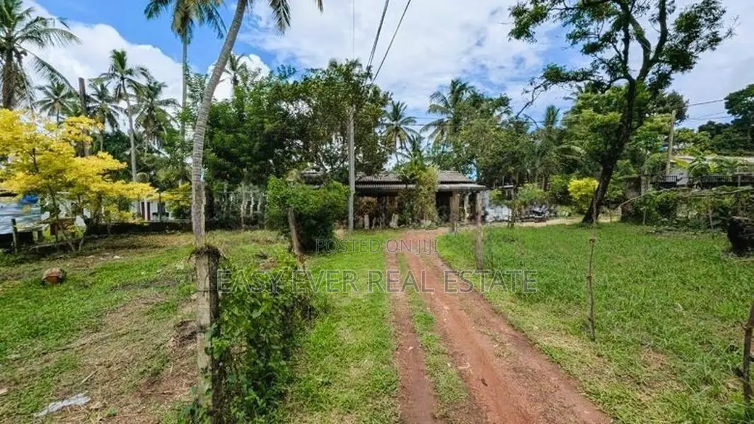 🏡 ජා-ඇල / මිනුවන්ගොඩ ප්‍රධාන පාරට ඉතා ආසන්නයෙන් ආයෝජන ඉඩමක්/ ST 12695