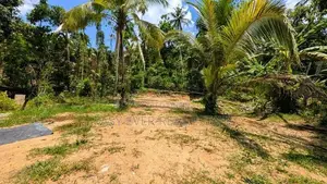 යක්කල නෙල්ලිගහමුලින් වටිනා ඉඩමක් / UP 12441
