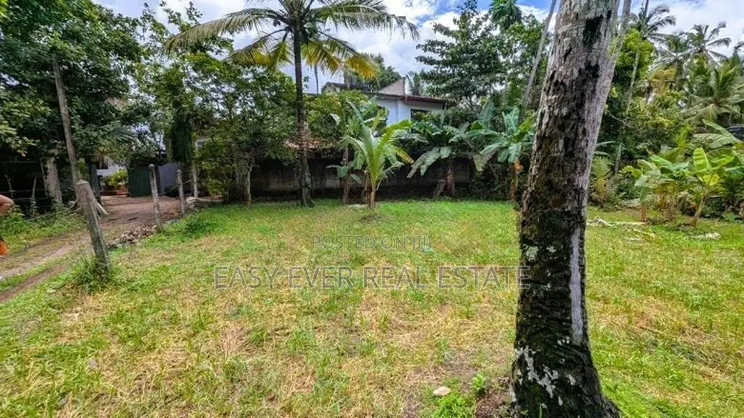 🏡 ජා-ඇල / මිනුවන්ගොඩ ප්‍රධාන පාරට ඉතා ආසන්නයෙන් ආයෝජන ඉඩමක්/ ST 12695