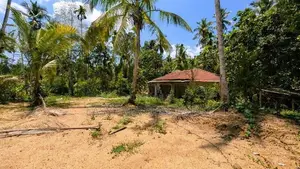 යක්කල නෙල්ලිගහමුලින් වටිනා ඉඩමක් / UP 12441