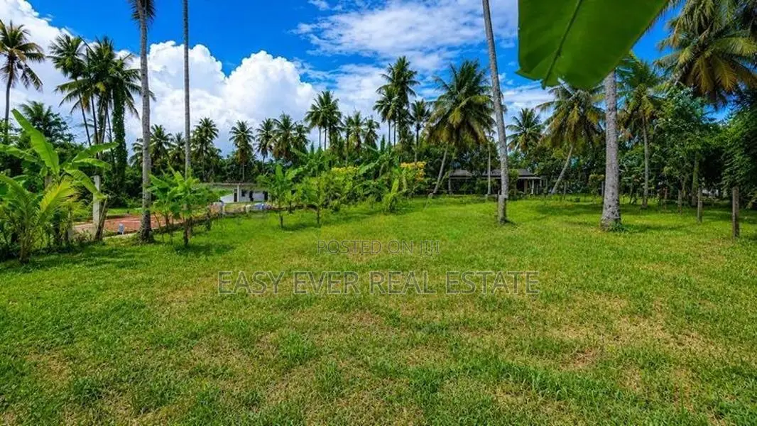 🏡 ජා-ඇල / මිනුවන්ගොඩ ප්‍රධාන පාරට ඉතා ආසන්නයෙන් ආයෝජන ඉඩමක්/ ST 12695