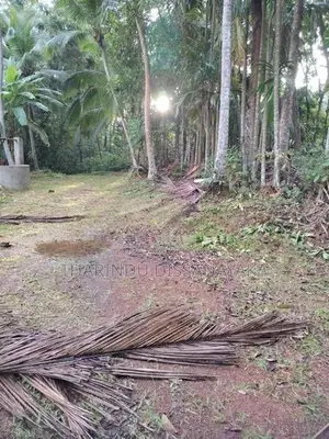 Land in Imbulgoda Plot 01