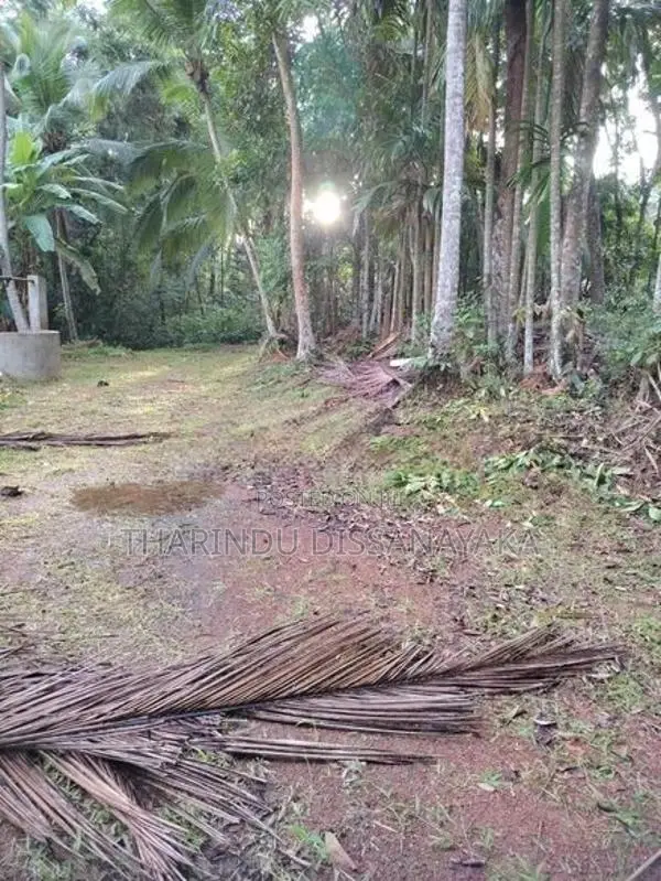 Land in Imbulgoda Plot 01