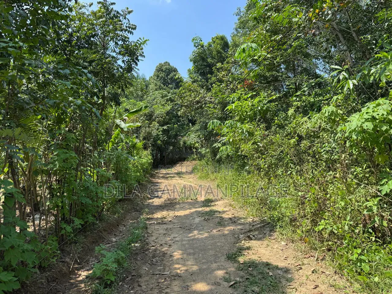 Land for Sale