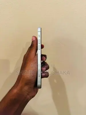 Apple iPhone 12 (Used)