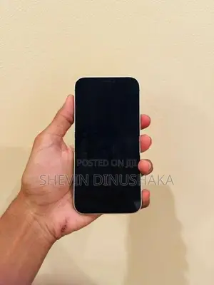Apple iPhone 12 (Used)