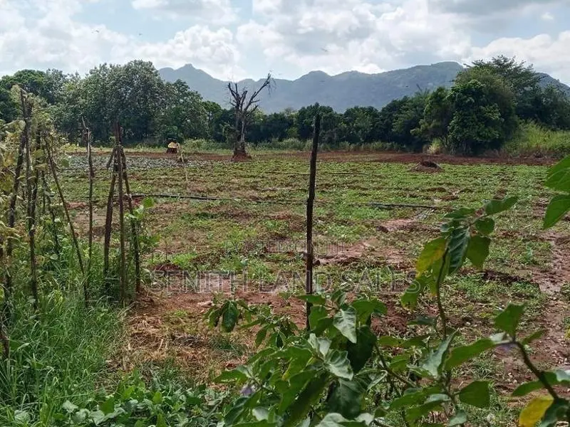 දඹුල්ල අවටින් අක්කර 3ක් ව්කිණිමට ඇත