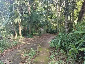කිරිබත්කුඹුර හන්දිය ආසන්නයේ ඉඩමක්