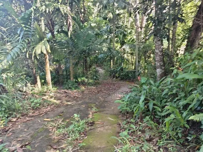 කිරිබත්කුඹුර හන්දිය ආසන්නයේ ඉඩමක්