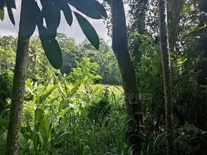 කිරිබත්කුඹුර හන්දිය ආසන්නයේ ඉඩමක්