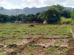 දඹුල්ල අවටින් අක්කර 3ක් ව්කිණිමට ඇත