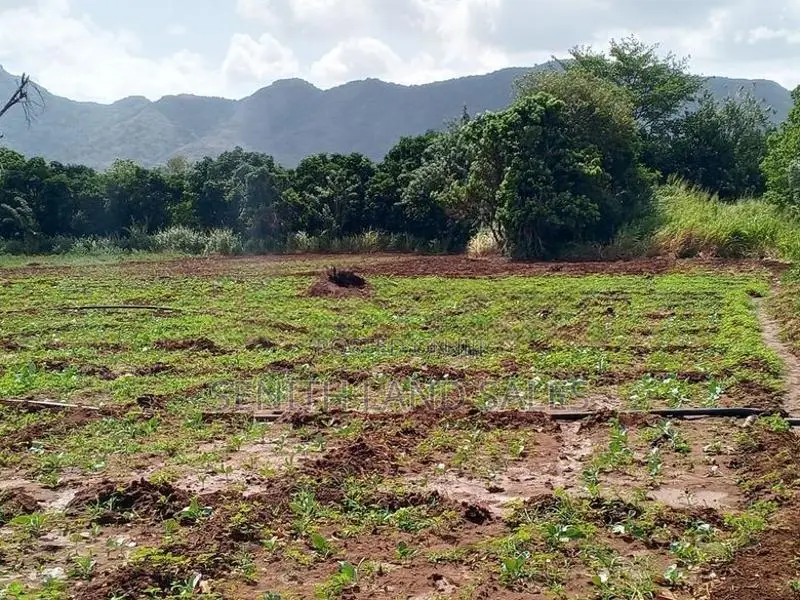 දඹුල්ල අවටින් අක්කර 3ක් ව්කිණිමට ඇත