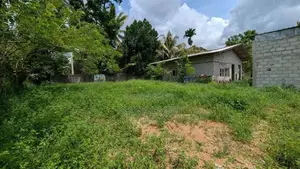 Panagoda ඉඩමක්