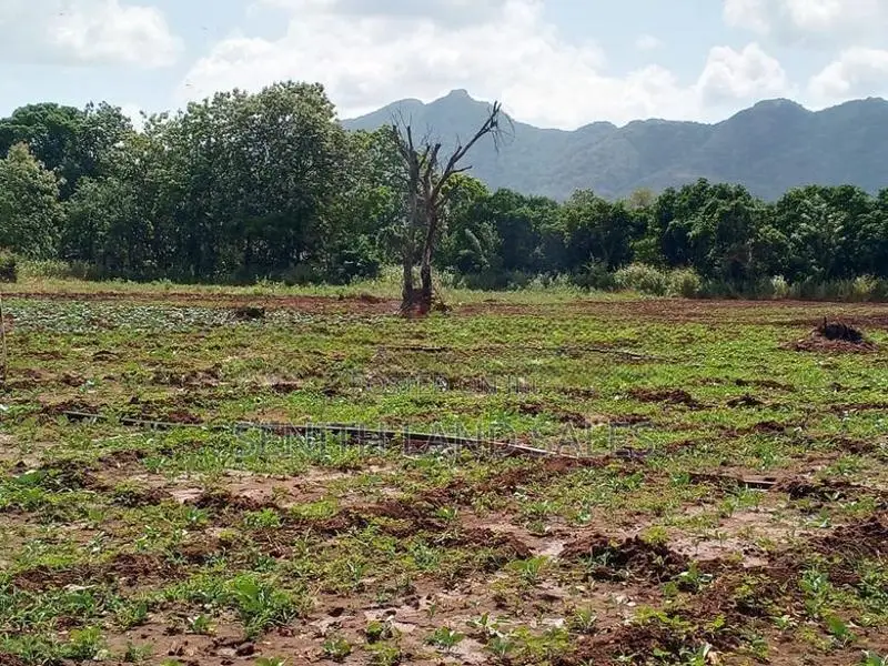 දඹුල්ල අවටින් අක්කර 3ක් ව්කිණිමට ඇත