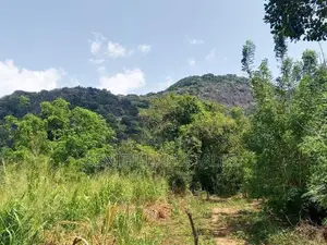 සංචාරක හොටෙල් සදහා දඹුල්ලන්.ඉඩමක් විකිනිමට ඇත