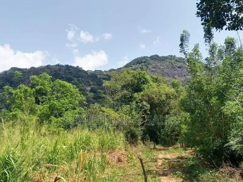 සංචාරක හොටෙල් සදහා දඹුල්ලන්.ඉඩමක් විකිනිමට ඇත