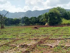 දඹුල්ල අවටින් අක්කර 3ක් ව්කිණිමට ඇත
