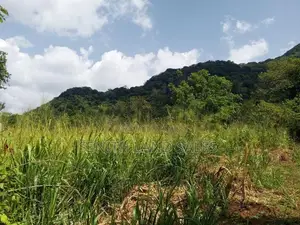 සංචාරක හොටෙල් සදහා දඹුල්ලන්.ඉඩමක් විකිනිමට ඇත