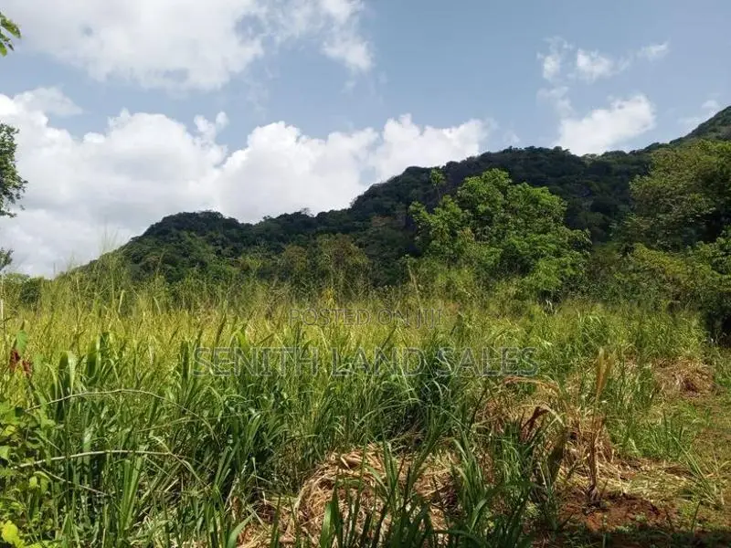 සංචාරක හොටෙල් සදහා දඹුල්ලන්.ඉඩමක් විකිනිමට ඇත