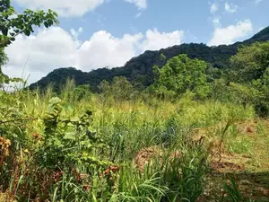 සංචාරක හොටෙල් සදහා දඹුල්ලන්.ඉඩමක් විකිනිමට ඇත