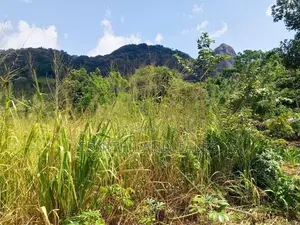 සංචාරක හොටෙල් සදහා දඹුල්ලන්.ඉඩමක් විකිනිමට ඇත