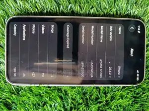 Apple iPhone 12 mini (Used)