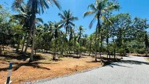 කෝරල ඉම හන්දියට ආසන්නව බිම් කොටස් විකිණීමට