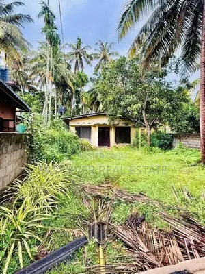 වත්තල - උස්වැටකෙයියාවෙන් පදිංචියට ඉඩමක් / KK 13976