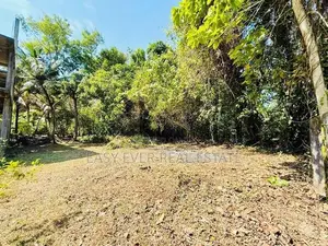 කටුනායකින් පර්චස් 20ක ඉඩමක් /KK 13624