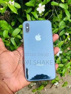 Apple iPhone XS 256GB (Used)