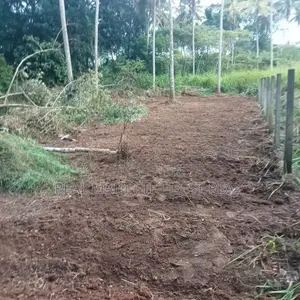 Pothuhera 32.4 P Land for Sale