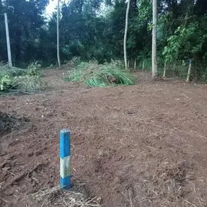 Pothuhera 15 P Land for Sale