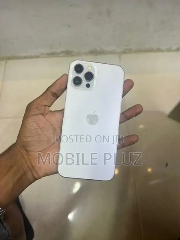 Apple iPhone 12 Pro Max (Used)