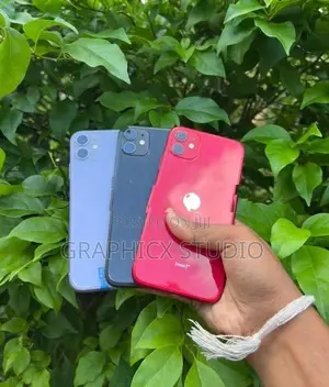 Apple iPhone 11 (Used)