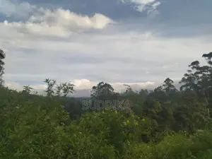 අක්කර 6ක වටිනා ඉඩමක් විකිණීමට – වැලිමඩ, කැටකෑල්ල (ඩයරබා)