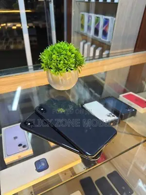 Apple iPhone XS Max 256GB (Used)
