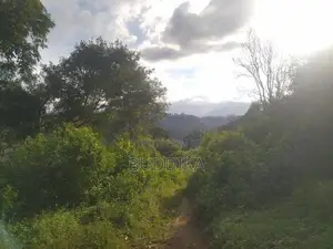 අක්කර 6ක වටිනා ඉඩමක් විකිණීමට – වැලිමඩ, කැටකෑල්ල (ඩයරබා)
