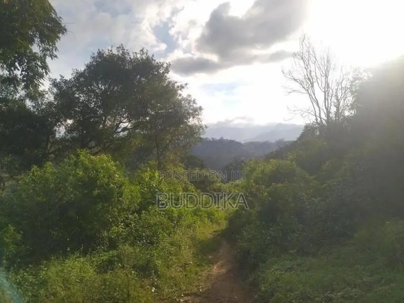 අක්කර 6ක වටිනා ඉඩමක් විකිණීමට – වැලිමඩ, කැටකෑල්ල (ඩයරබා)