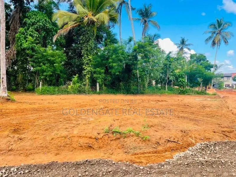 Valuable Land for Sale in Kalagedihena