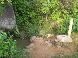 අක්කර 6ක වටිනා ඉඩමක් විකිණීමට – වැලිමඩ, කැටකෑල්ල (ඩයරබා)