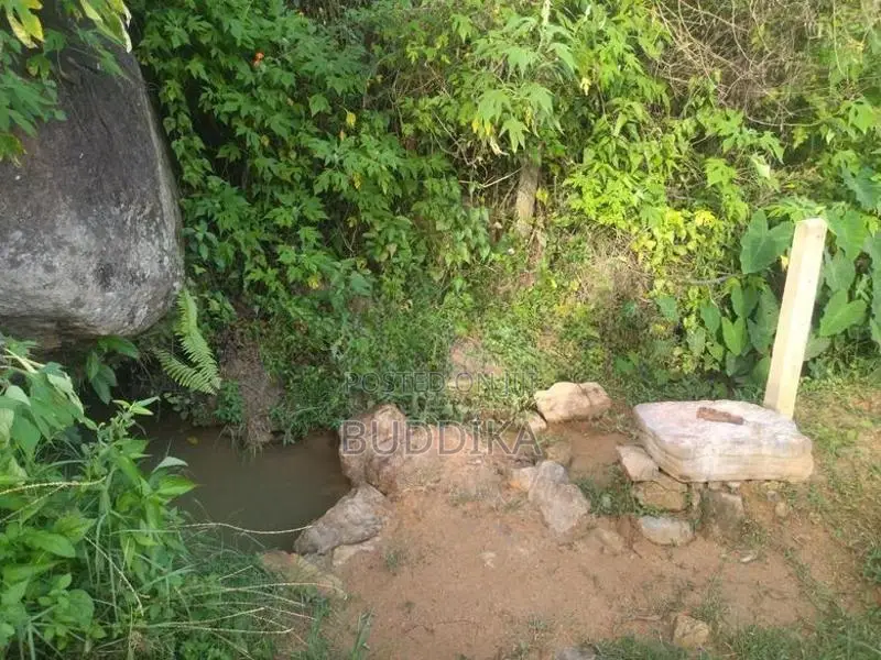 අක්කර 6ක වටිනා ඉඩමක් විකිණීමට – වැලිමඩ, කැටකෑල්ල (ඩයරබා)