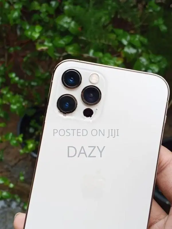 Apple iPhone 12 Pro (Used)