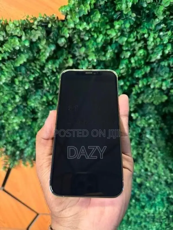 Apple iPhone 12 Pro (Used)