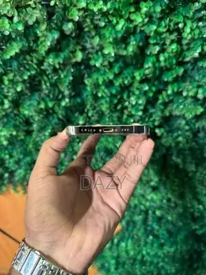 Apple iPhone 12 Pro (Used)