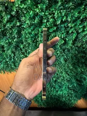 Apple iPhone 12 Pro (Used)